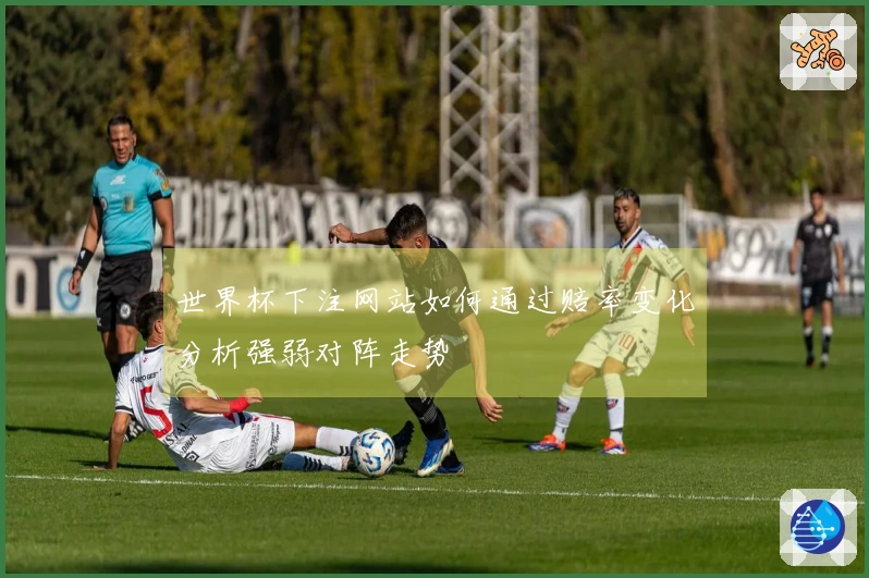 世界杯下注网站如何通过赔率变化分析强弱对阵走势