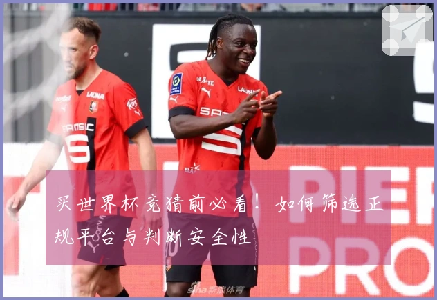 买世界杯竞猜前必看！如何筛选正规平台与判断安全性
