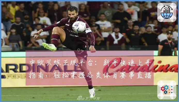 中欧买球正规平台：新手快速上手指南，轻松掌握各类体育赛事直播入口与使用技巧