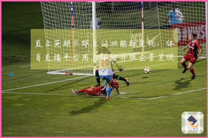 直击英超买球主站功能新变化，体育直播平台用户体验升级全景呈现