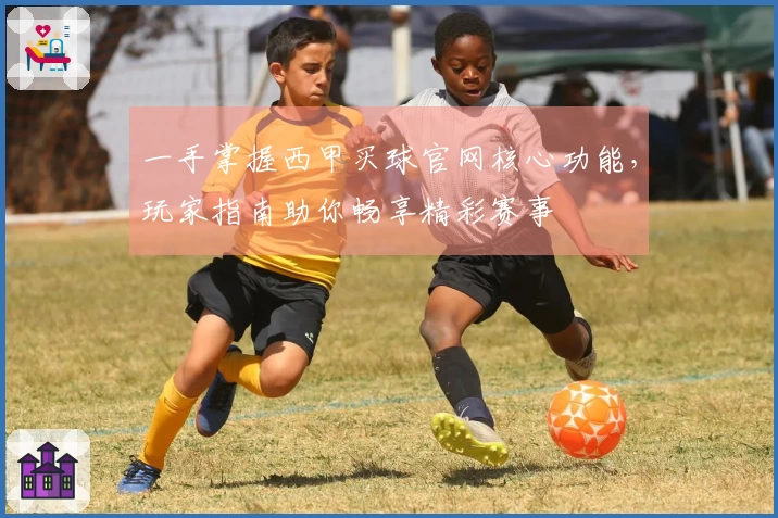 一手掌握西甲买球官网核心功能，玩家指南助你畅享精彩赛事