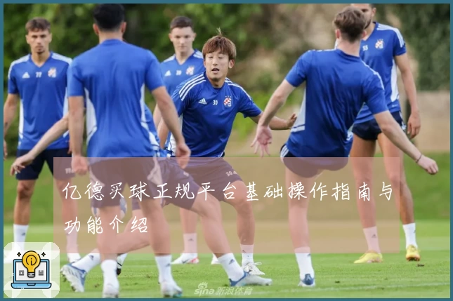 亿德买球正规平台基础操作指南与功能介绍